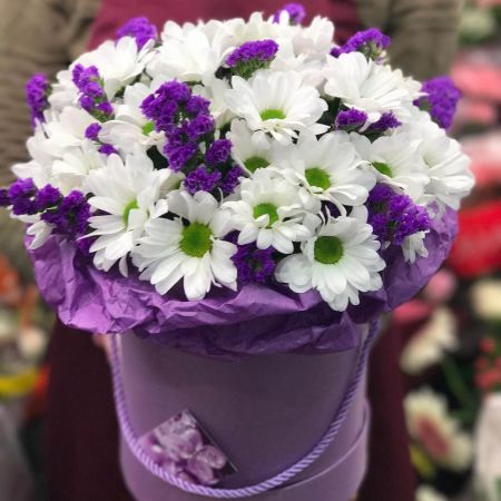 Северное сияние